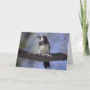 Suche nach eichel karten Natur