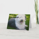 Suche nach altes englisch karten Alter englischer schafhund