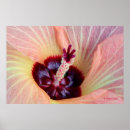 Suche nach rosa blüten poster Jede person