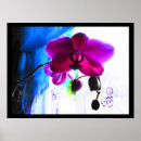Suche nach magentarote blume Jede person