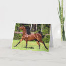 Suche nach arabisches pferd karten Araber