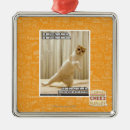 Suche nach fuß ornamente Ich kann habe cheezburger