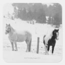 Suche nach pferdebilder aufkleber Cowboy