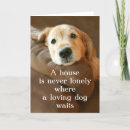 Suche nach hund auf couch karten Niedlich