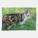 Suche nach weiße katze geschirr tücher Süß