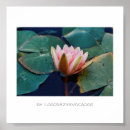 Suche nach wasser pflanze poster Blume