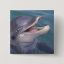 Suche nach bottlenose buttons Meer