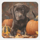 Suche nach schokolade aufkleber Jede person