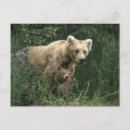 Suche nach mama zum zu sein postkarten Niedliche kleintiere