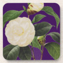 Suche nach redoute untersetzer Botanik