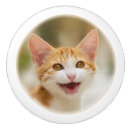 Suche nach lächelnde katze Für kinder