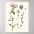 Suche nach gedrückt poster Botanisch