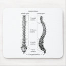 Suche nach menschliche anatomie mousepads Knochen