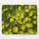 Suche nach pflanzen sie blume mousepads Jede person
