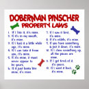 Suche nach pinscher poster Niedlich