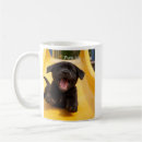 Suche nach labrador retriever welpe Jede person