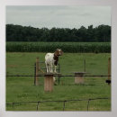 Suche nach vieh kunst Foto