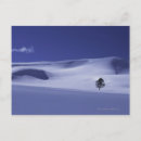 Suche nach schneebedeckte bäume postkarten Natur