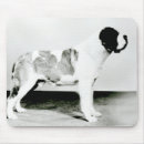 Suche nach bernhardiner mousepads Bernard