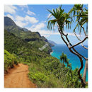 Suche nach kauai Üppig