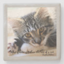 Suche nach fenster untersetzer Tiere