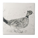 Suche nach fasan fliesen Tiere