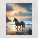 Suche nach pferde flyer Tier