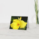 Suche nach canna karten Floral