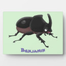 Suche nach käfer fotoplatten Jede person