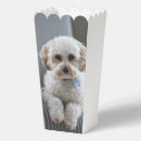 Suche nach ihr foto papier geschenk box Erstelle selbst