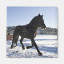 Suche nach lander magnete Horizontal