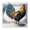 Suche nach hahn fliesen Huhn