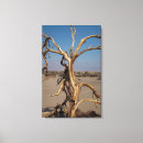 Suche nach dunst leinwandbilder Natur