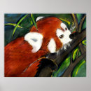 Suche nach red panda poster Malerei