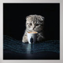 Suche nach regel poster Jede person