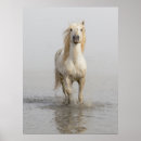 Suche nach ellen poster Superstock