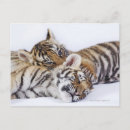 Suche nach gefangene postkarten Liebe