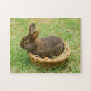 Suche nach kaninchen puzzle Jedes kind