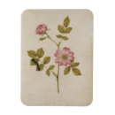 Suche nach raupen magnete Blumen