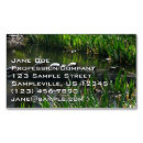 Suche nach reiher visitenkarten Natur