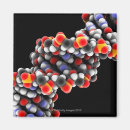 Suche nach biologie magnete Forschung