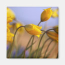 Suche nach marion magnete Blume