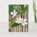 Suche nach vinca Blume