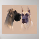 Suche nach doggen poster Great dane