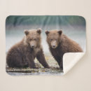 Suche nach grizzlybär decken Wild lebende tiere