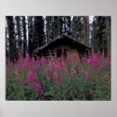 Suche nach verdünnt poster Aufgegeben