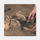 Suche nach artefakt magnete Knochen