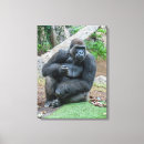 Suche nach gorilla leinwandbilder Tiere
