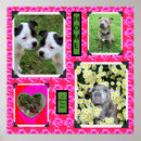 Suche nach staffordshire poster Rose