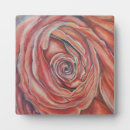 Suche nach rote rosen fotoplatten Natur